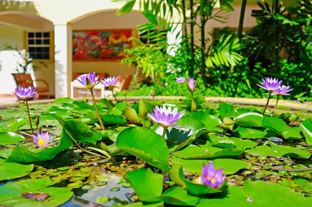 Blue Horizons Garden Resort St. George's Esterno foto